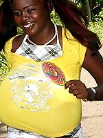 Miosotis lollipop